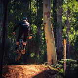 The Arboretum. Sean Tysoe (15)