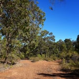 Continue straight, along the gravel surface, taking the left at the "Y "intersection.