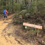 signage 