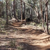 Woodley's Loop Langford Park Credit Jeff Phillips Image1