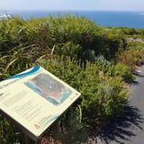 Coastal Survivors Trail Signage T Johnson D'entrecasteaux Np