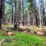 The Green Mile 3 Tank 7 Mark Hudson