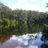 Explore the Big Brook Damn area via a 4km sealed walk trail that follows the shores of the dam. 