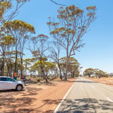 Tin Horse Hwy23 Kulin Tourismwa