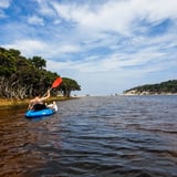 Taylor Inlet Paddle Trail