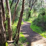 John Boyle Oreilly Trail 2 T Johnson