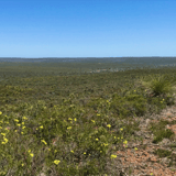 Bad Ji Gabbi Loop Trail Badgingarra1 Csoord