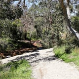 Lesmurdie Falls Trail Fo U L F 1