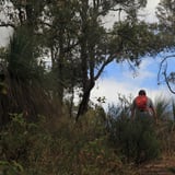 On the trail