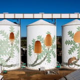 Ravensthorpe Silo Public Silo Art Trail J Pelusey
