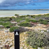 West Wallabi D B C A2