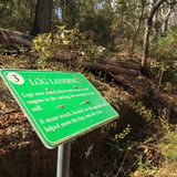 Interpretive signage