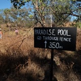 Paradise Pool tail near the main office
