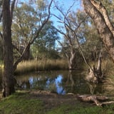 Tucked away just off the main Great Southern Highway, look out for the sign to St. Ronan's Well, a spring-fed watering point used by the Ballardong Noongar people and developed into a well by early settlers. There are actually two wells here, a large and small one, see if you can find both. 