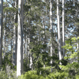 Knolls Trail3 Banderson.jpg