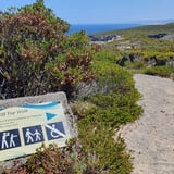 Clifftop Walk Trailhead T Johnson D'entrecasteaux Np