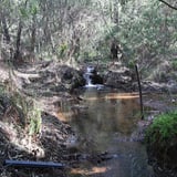 Meelup Brook 1040X860