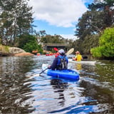 King River Paddle 2 Chelle Fisher.jpg