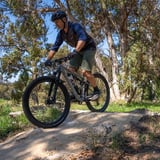 Daisy Chain Rollover Yalbunullup