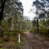 Walitj Meil Walk3 Porongurups Chelle Fisher