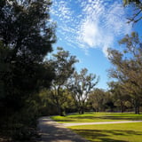 Beautiful shaded walkways around the lake.
