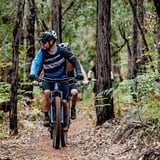 Dwellingup Mtb Easy