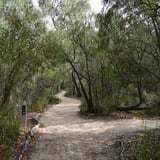 Lime Kiln Yalgorup N P 2