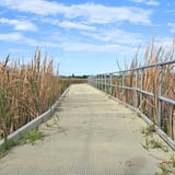 Boardwalk Lake Richmond T Lindsey Off The Beaten Track