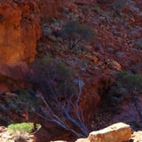 Drapers Gorge