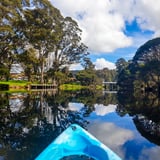 Denmark River Paddle Trail