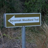 Savannah trailhead