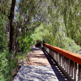Boardwalk2 Dick Lofthouse Rotary Trail