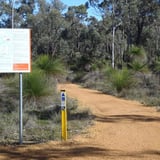 The trail head map at the start of the Forsyths Mill trail