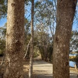 Kuljak Island has both gravel and paved trails, providing access from the car park for wheelchairs and prams.