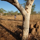 The trail is well sign posted 