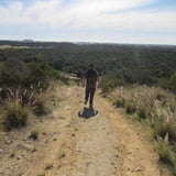 Trail linking Mt Brown and Lake Mt Brown