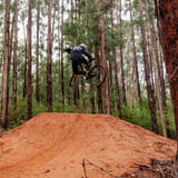 The Arboretum Flowmtb (11)