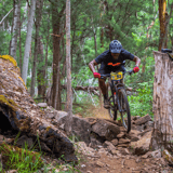Pirate Trail2 Pemberton Mtb Park Pemberton Cycling Association