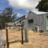 Turn right onto Talbot Hall road (gravel) to find a relatively intact Wandoo woodland with an understorey of flowers and shrubs, a pure delight in wildflower season and one of the most enchanting Reserves at any time of year. Nearby is Talbot Hall, an enlargement of an early C20th school. 


