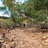 Walking from the carpark down to the river's edge.