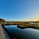 Joseph Dulcie Nannup Trail2 Mandurah Kstevens