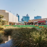 This is Whadjuk Country_Perth Cultural Centre Wetlands_City of Perth.jpg