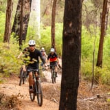 Chinwag Kingias Landing1 Giants Trails Nic Quinn Ride On