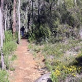 Kittys Gorge Serpentine N P S O J 2