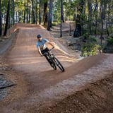 Boorung Ngoolark Biddi3 Ngoolark Mtb Nannup Daniela Tommasi