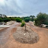 Pump Track Booyeembara Park Kstevens