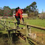 Climbing over the farm fences