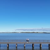 Jetty2 Australind Jetty Walk John Olsen