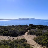 Pt Ann Fitzgerald Np Bronwyn Wells 3