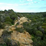 The north side of the trail is elevated giving views of the river below.